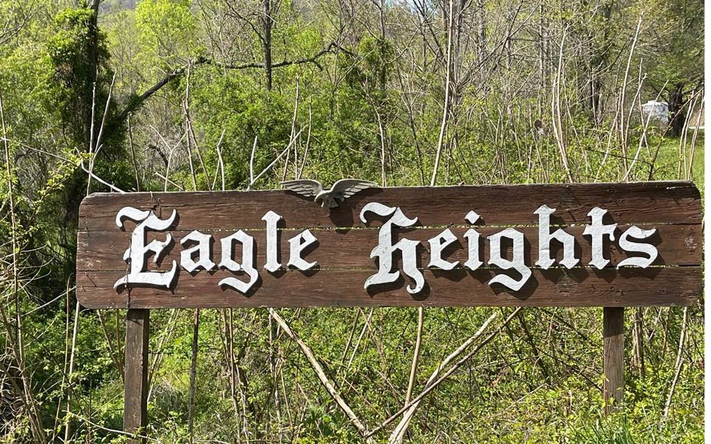 Hiawassee, GA 30546,Lot 8D Eagle Heights