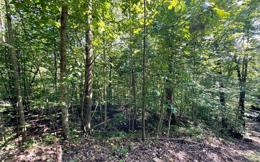 Hiawassee, GA 30546,Lot 8D Eagle Heights