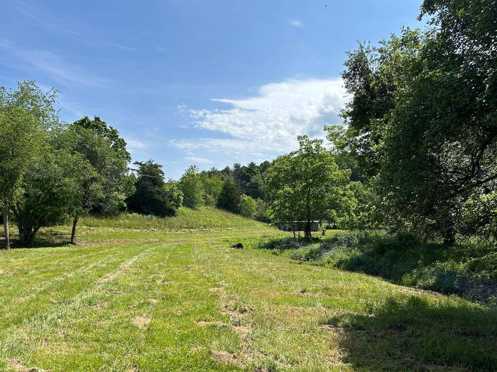 Max Meadows, VA 24360,8.86 ac Fort Chiswell Rd