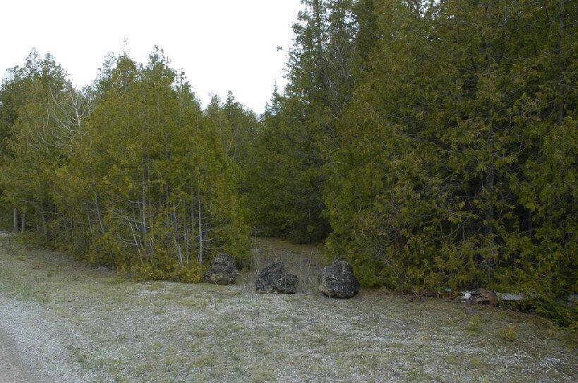 Northern Bruce Peninsula, ON N0H 1W0,308 Ira Lake RD