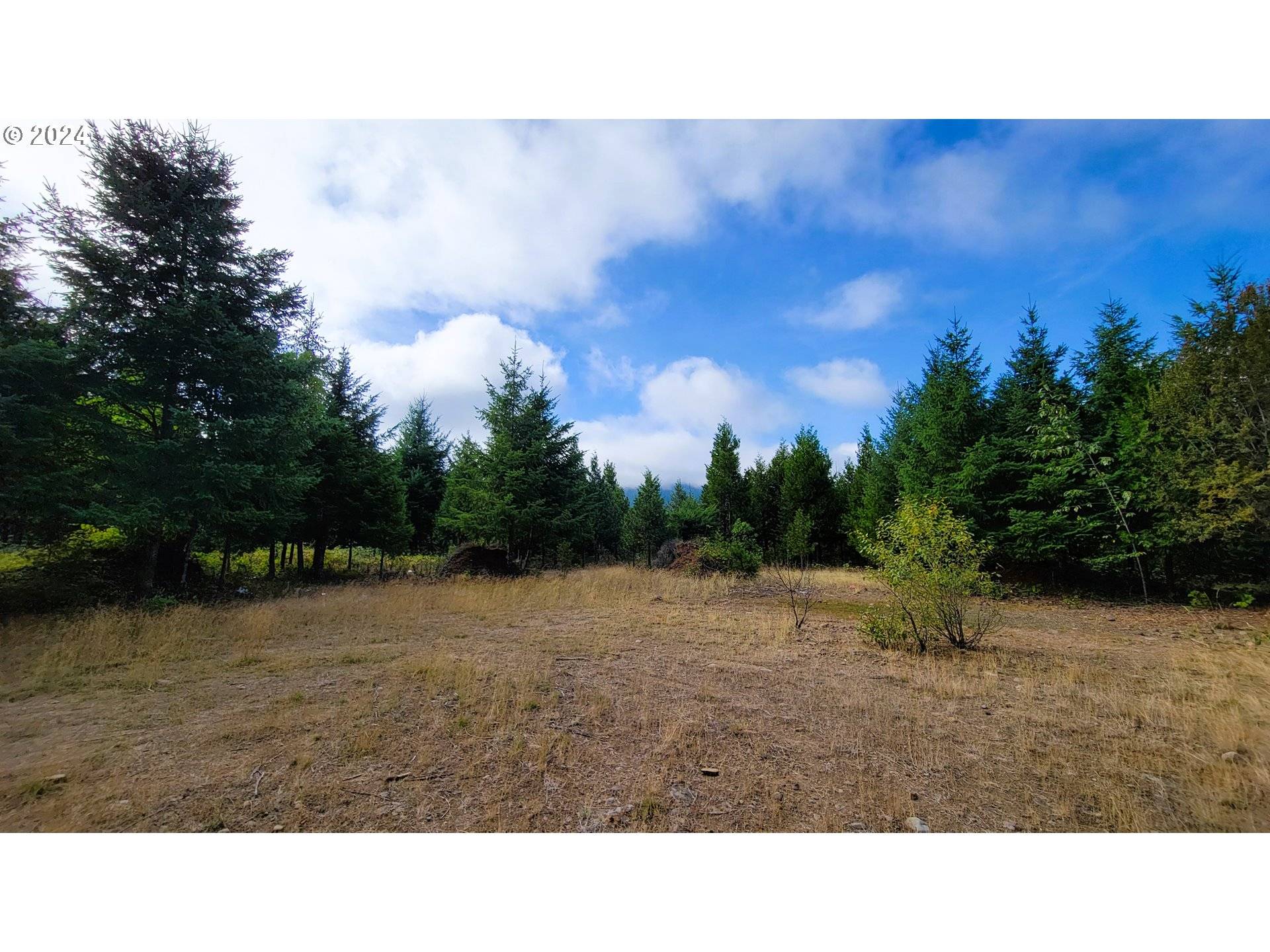 Oakridge, OR 97463,Laurel Butte #South