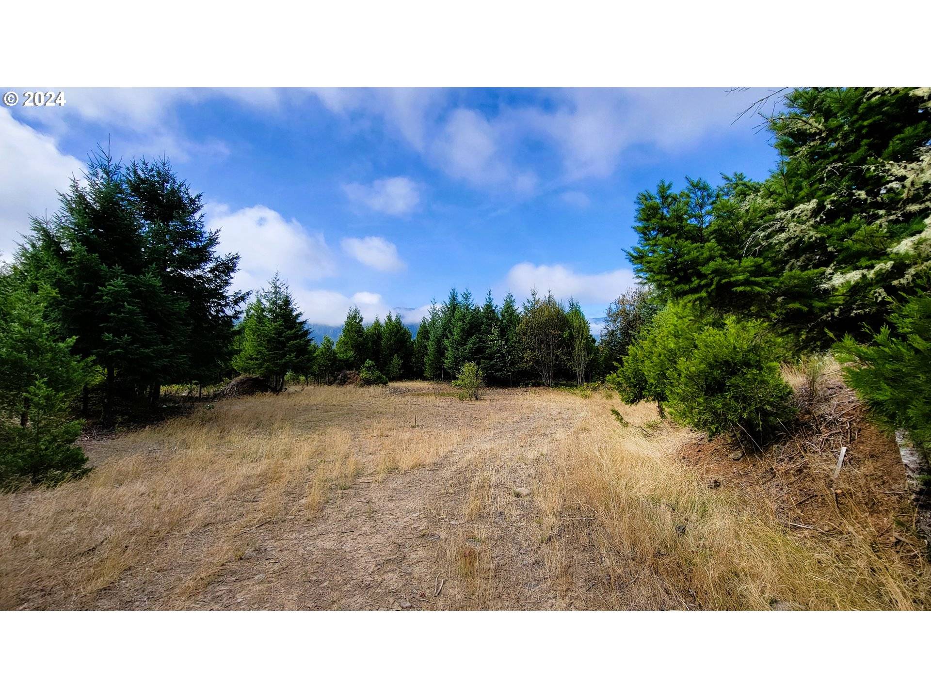 Oakridge, OR 97463,Laurel Butte DR