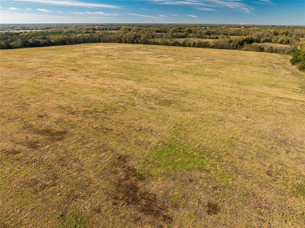 Pattonville, TX 75468,0000 County Road 15390