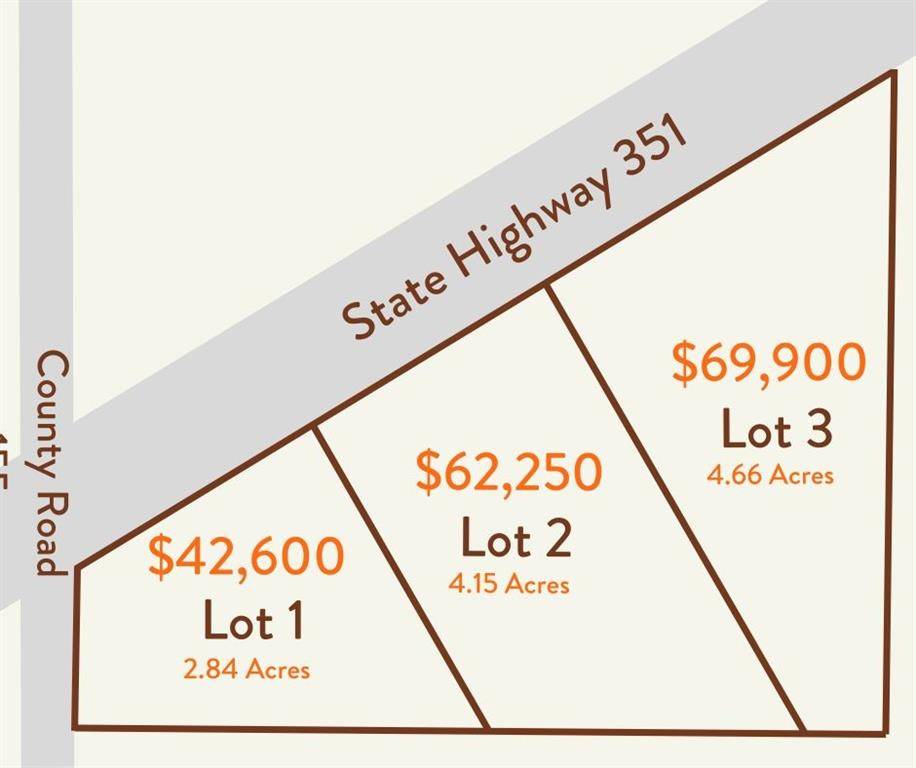 Abilene, TX 79601,TBD Lot 3 351 Highway