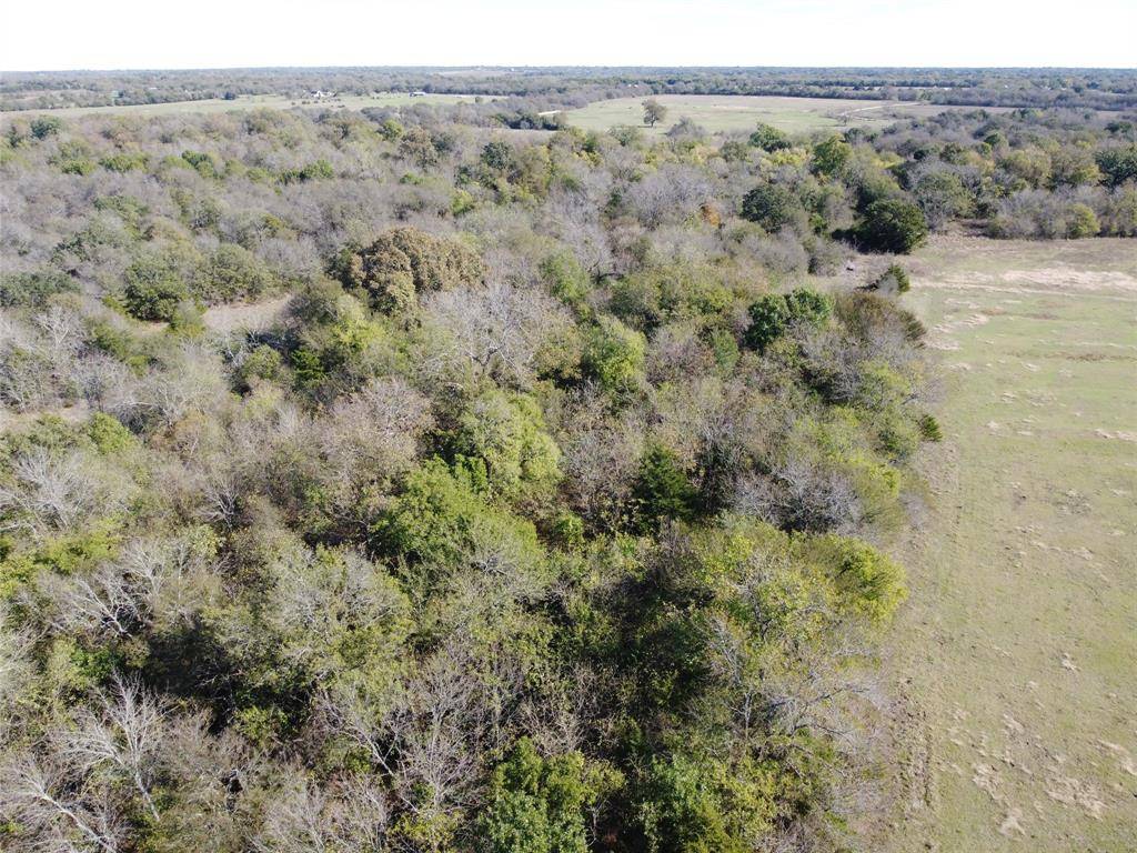 Celeste, TX 75423,63 ac Cr-1082