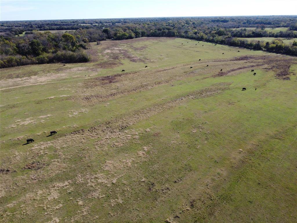 Celeste, TX 75423,63 ac Cr-1082