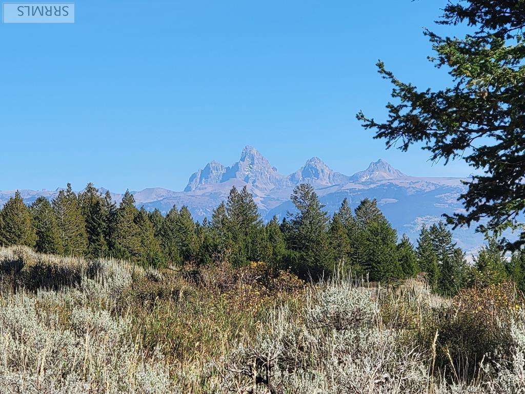 Tetonia, ID 83452,TBD W Packsaddle Drive