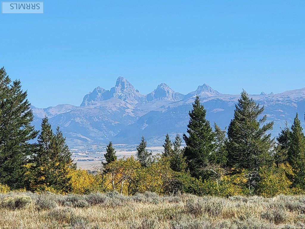 Tetonia, ID 83452,TBD W Packsaddle Drive