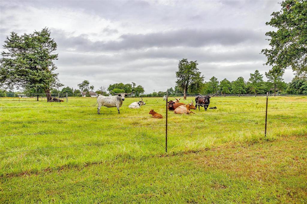 Terrell, TX 75161,8931 County Road 313