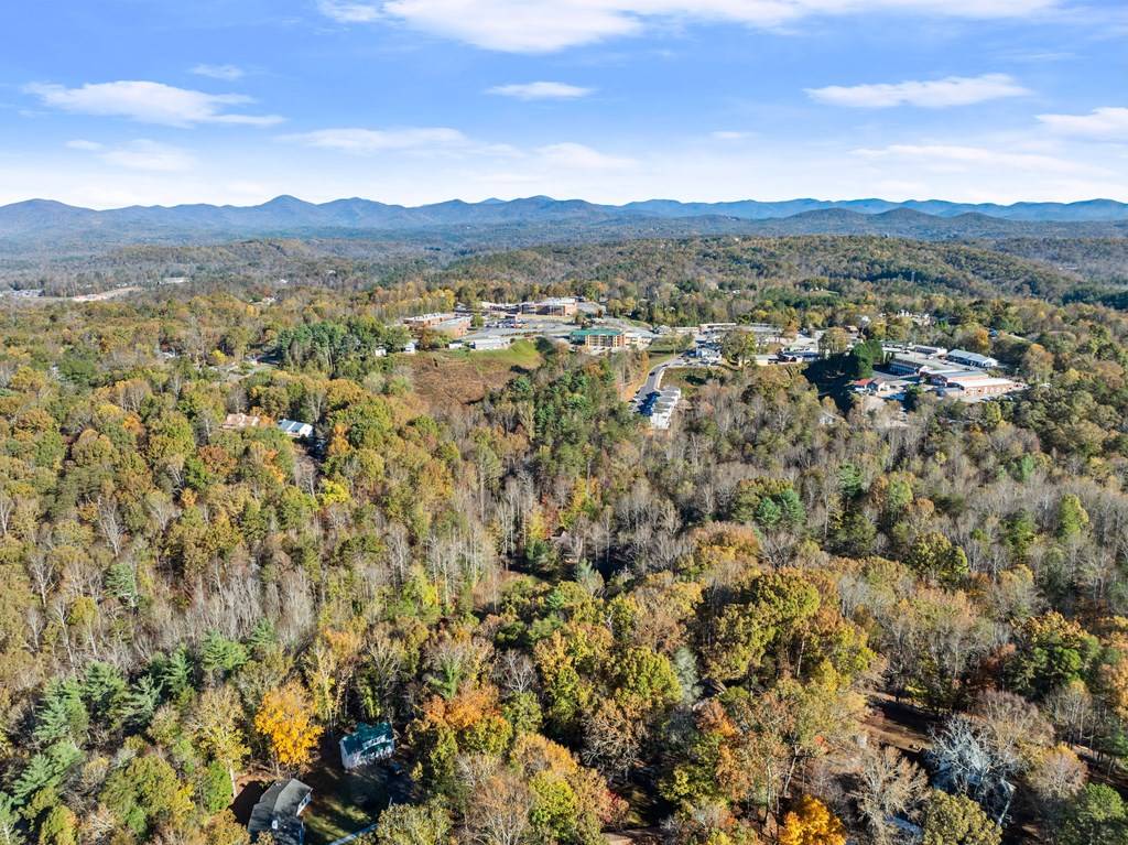 Dahlonega, GA 30533,0 Chestatee Street