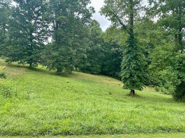 Blairsville, GA 30512,Lot 15 Pleasant Meadows Sub