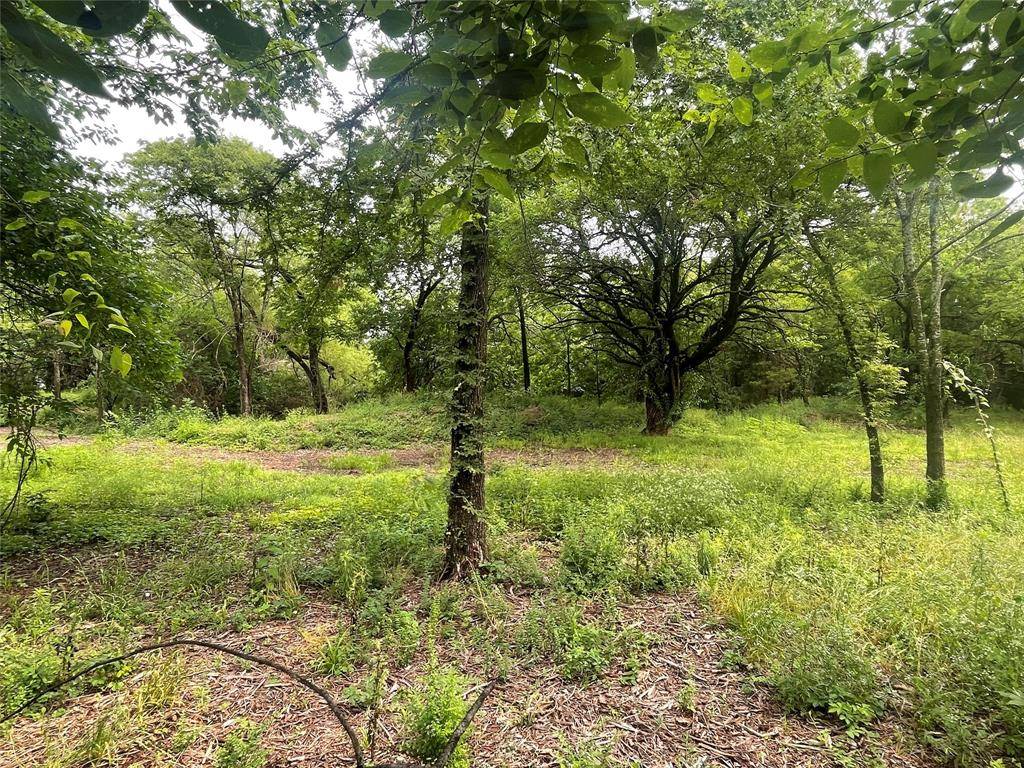 Brashear, TX 75420,1.8ac W Sh 67