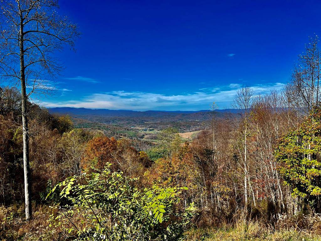 Brasstown, NC 28902,0 Mason Way