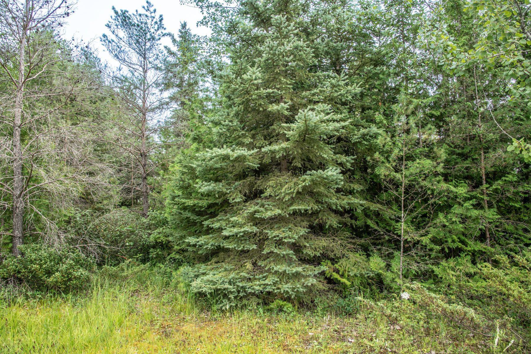 Kawartha Lakes, ON K0M 2B0,LOT 250 McGuire Beach RD