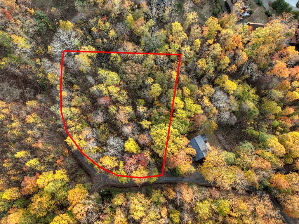 Mineral Bluff, GA 30559,Lot 79 Moosilaukee Drive