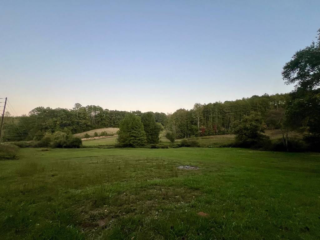 Epworth, GA 30541,2.25 AC Madola Road