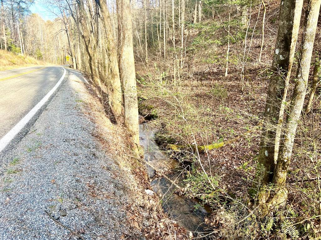 Ellijay, GA 30540,12 ACRE Pleasant Gap Road