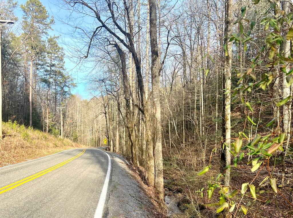 Ellijay, GA 30540,12 ACRE Pleasant Gap Road