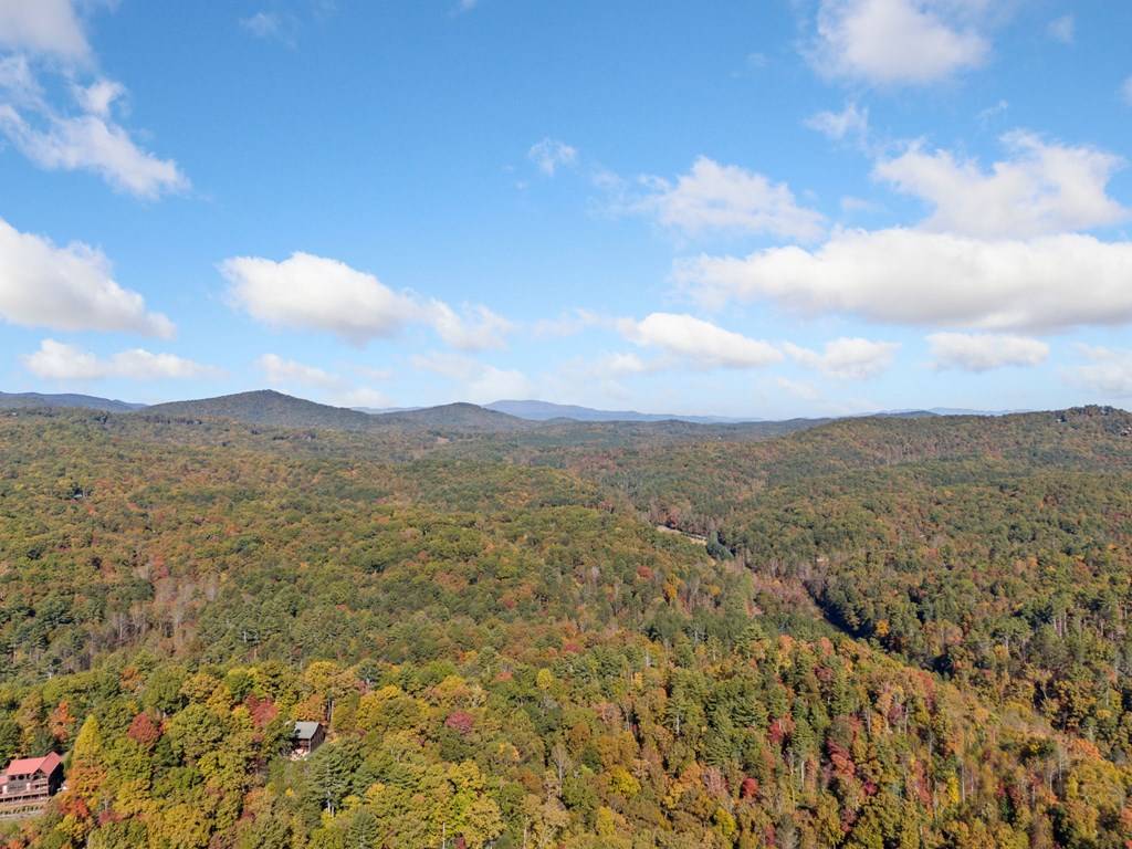 Ellijay, GA 30513,389 Tall Timber Mountain Road