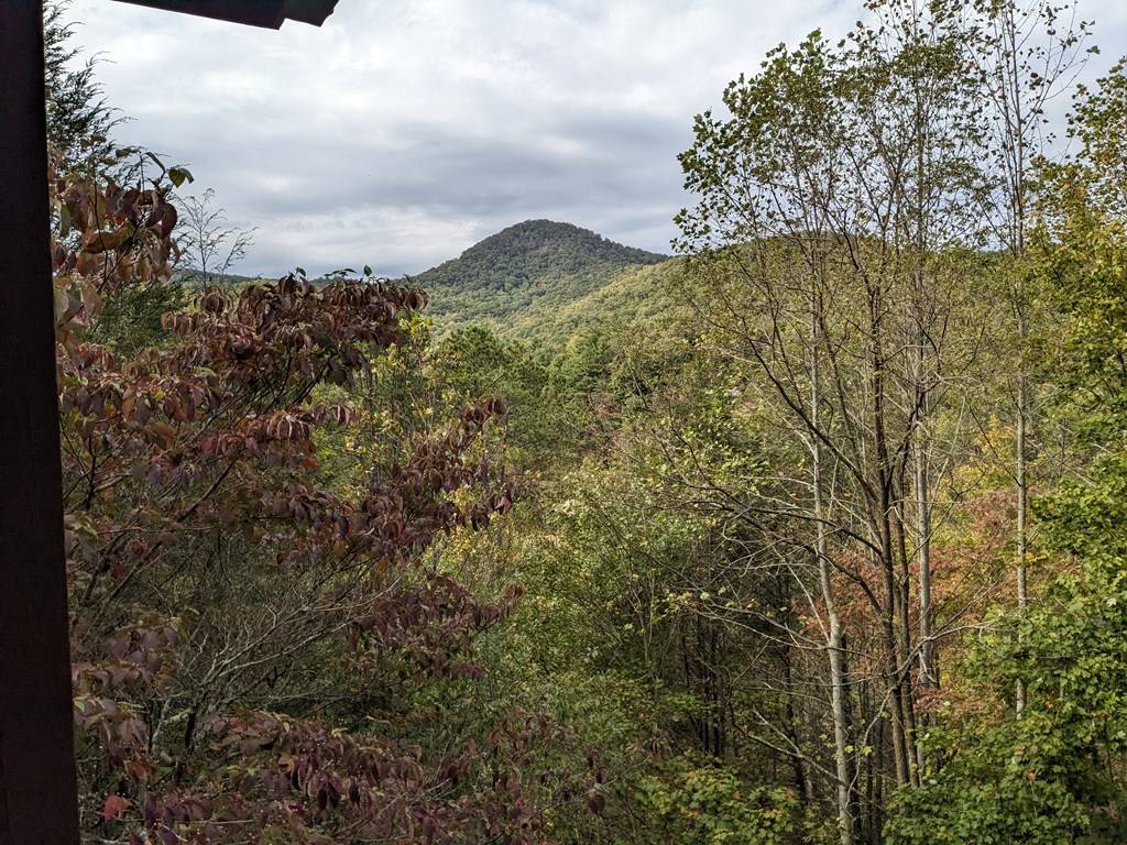 Hiawassee, GA 20546,1702 Sheep Cliff Road