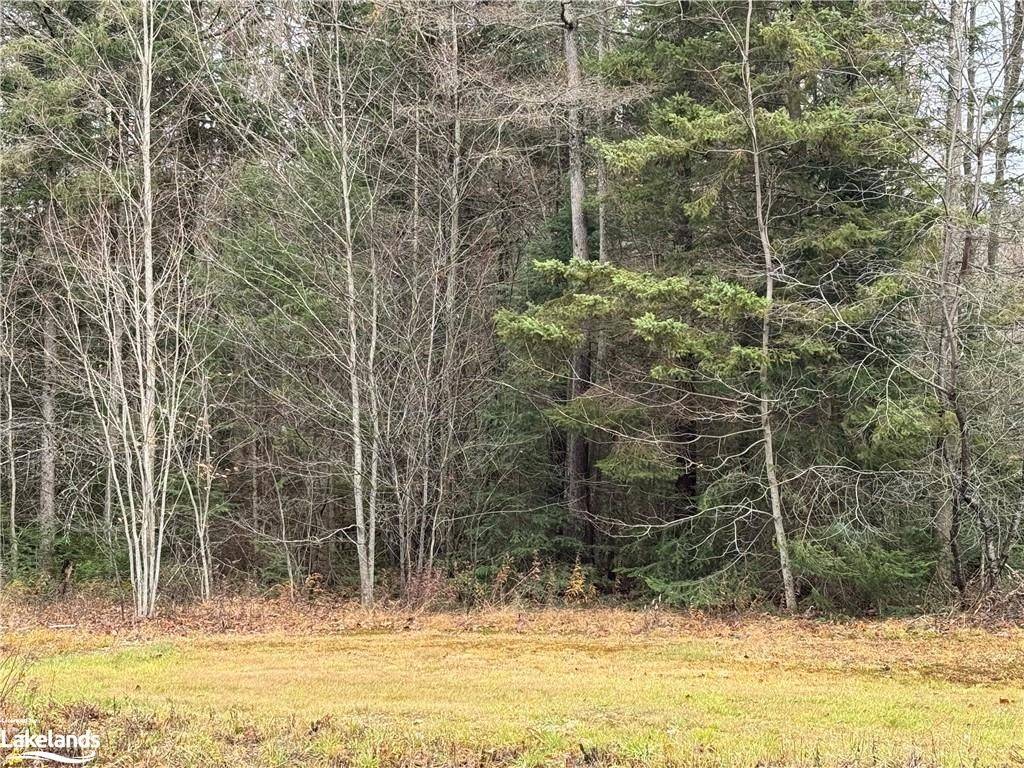 Mcmurrich/monteith, ON P0A 1Y0,LOTS 1, 2 & 3 HIGHWAY 518 W N/A