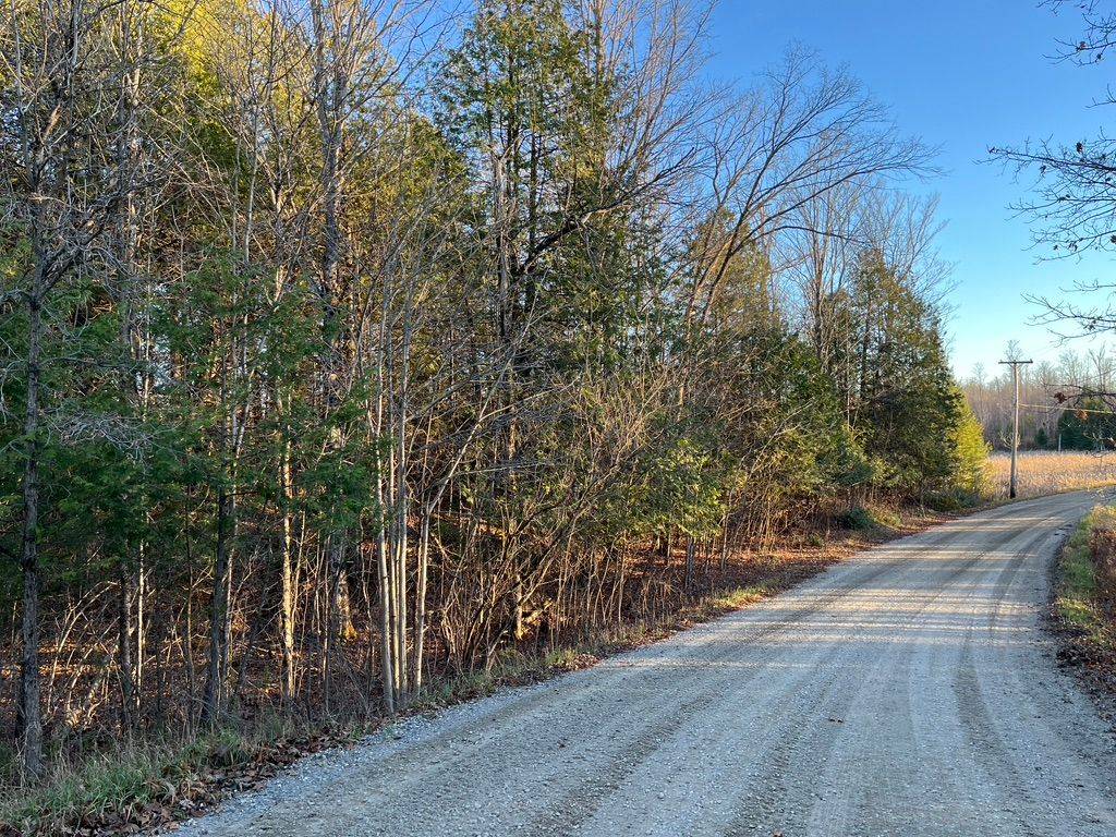 Central Frontenac, ON K0H 1B0,0 Bull Lake RD