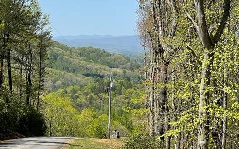 Hiawassee, GA 30546,00 Laurel Ridge, Lot 1