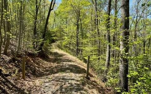 Hiawassee, GA 30546,00 Laurel Ridge, Lot 1