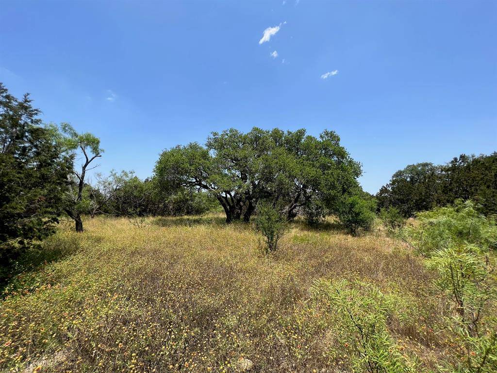 Evant, TX 76525,Lot 72 PR 4212