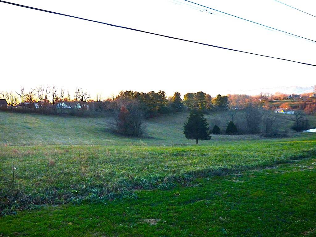 Wytheville, VA 24382,tbd Lot Remainder Parcel A Asbury Ln