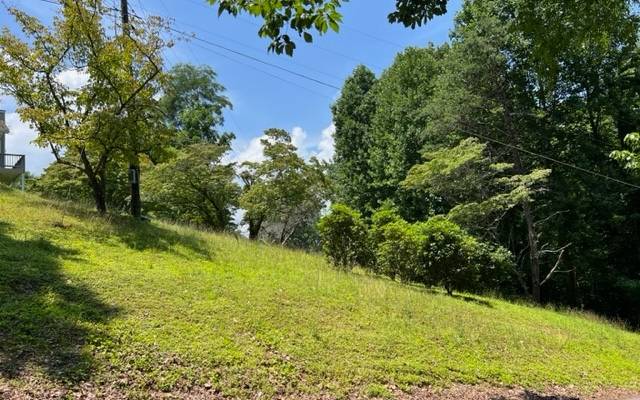 Hiawassee, GA 30546,LOT 5 Chancey Drive