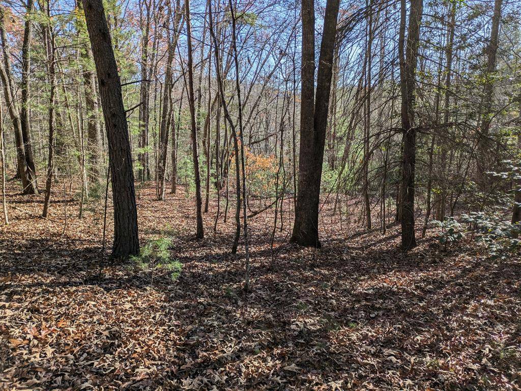 Murphy, NC 28906,Lot 6 Horvath Road