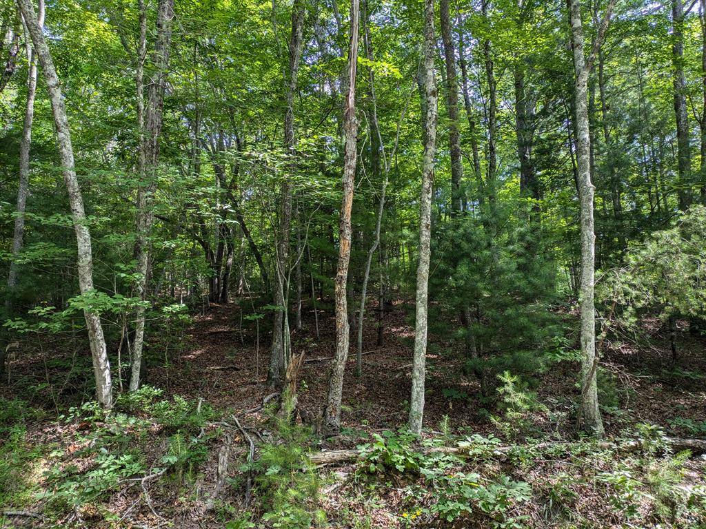 Murphy, NC 28906,Lot 6 Horvath Road