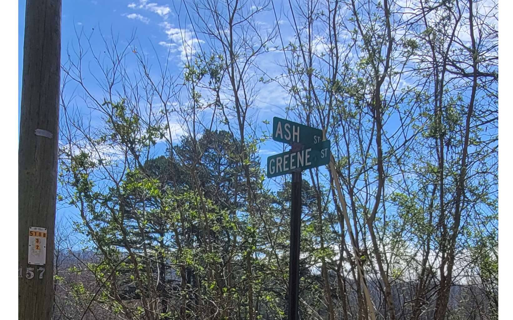 Blue Ridge, GA 30513,0 Ashe Street