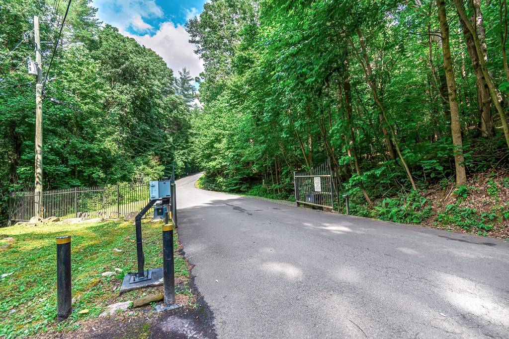 Ellijay, GA 30540,Lot 13 Shady Pine Trail