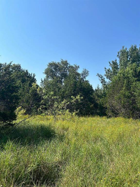 Whitney, TX 76692,1374 Spring Valley Trail