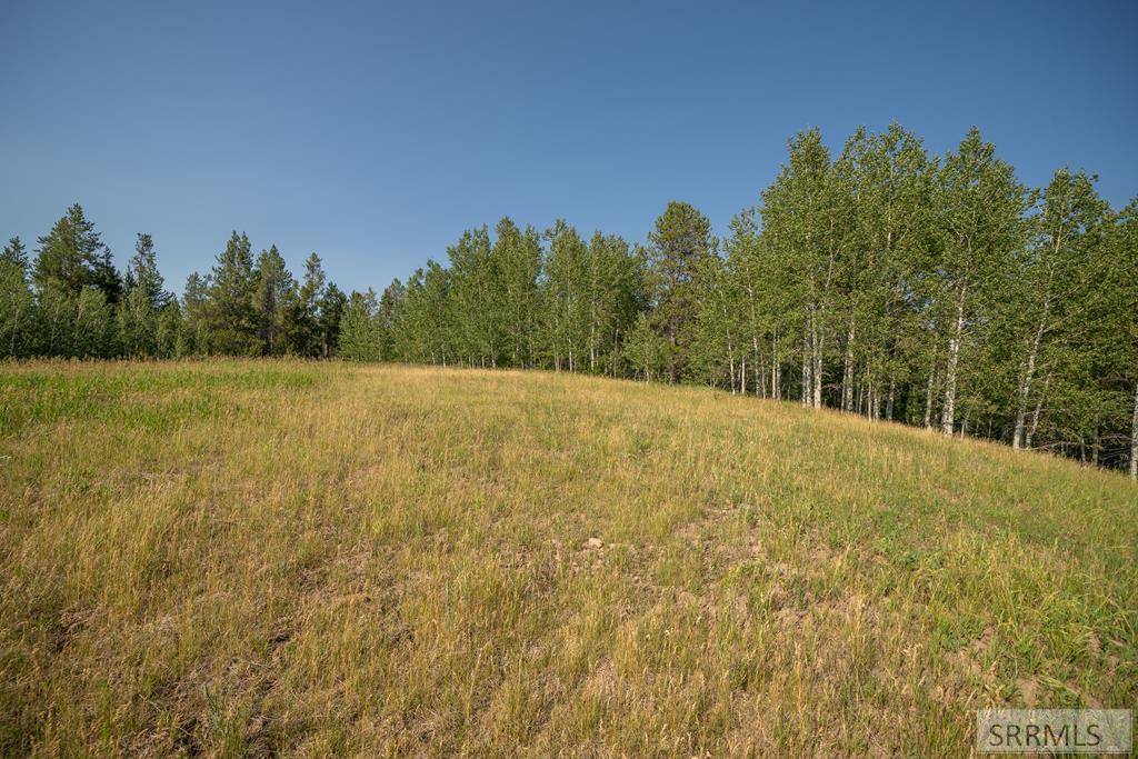 Ashton, ID 83420,Lot 11 Potpourri Drive