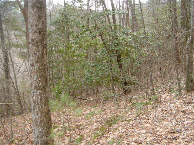 Blairsville, GA 30512,Lot 18 Highland Crossing