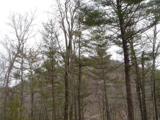 Blairsville, GA 30512,Lot 18 Highland Crossing