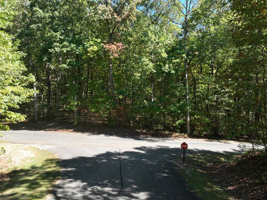 Ellijay, GA 30536,181 St Andrews Way