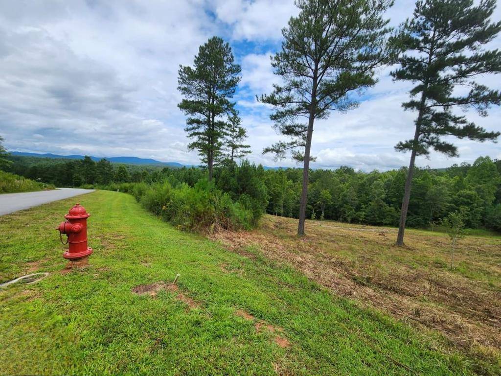 Blairsville, GA 30512,Lot 231 Ridge Point Way