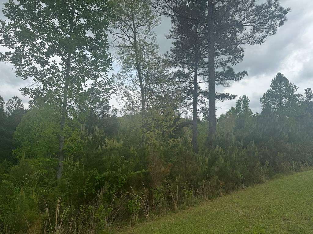 Blairsville, GA 30512,Lot 231 Ridge Point Way