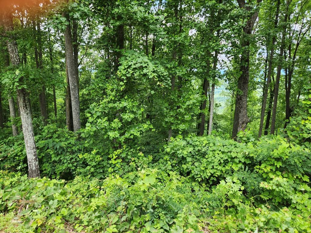 Young Harris, GA 30582,Lot 18 Rocky Knob Estates