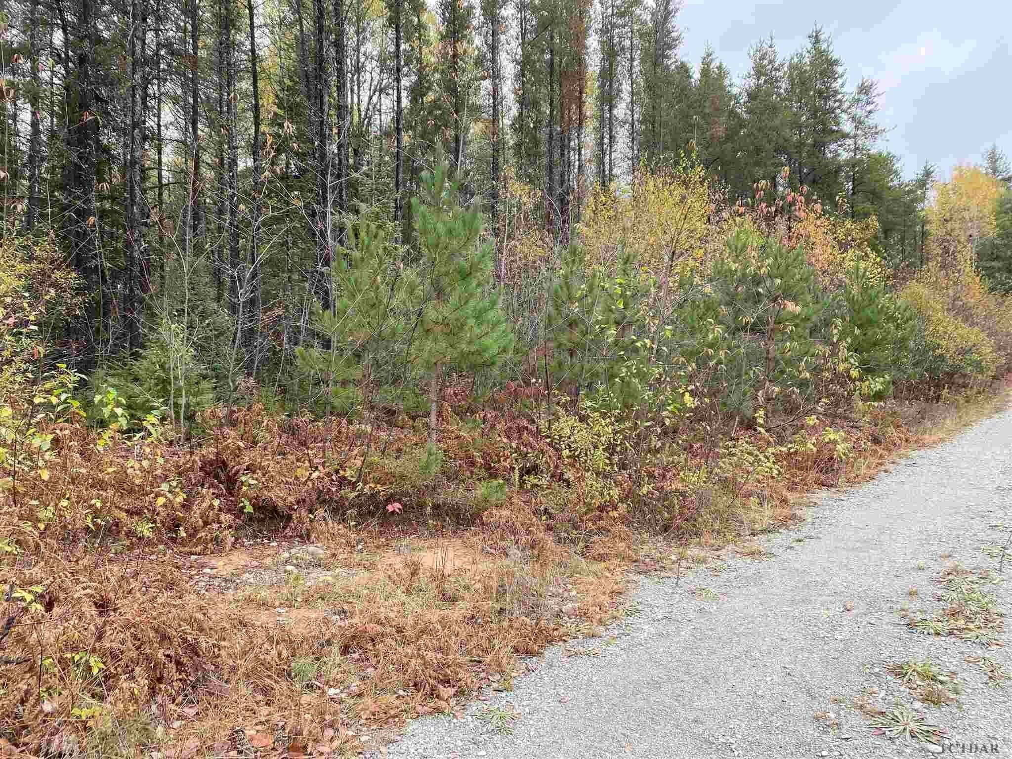 Timiskaming Remote Area, ON P0J 1H0,L1 Con 5 RD