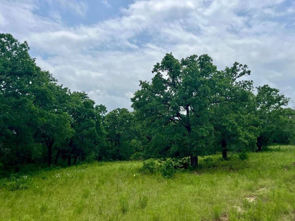 Poolville, TX 76487,Lot 28 Kilkenny Rd