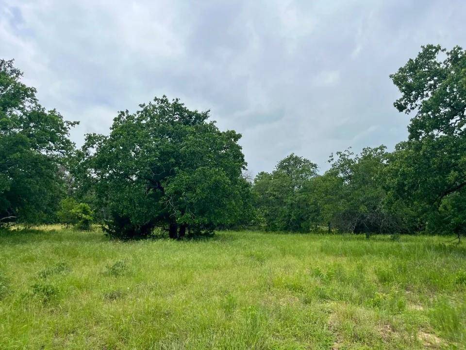 Poolville, TX 76487,Lot 29 Galway Rd