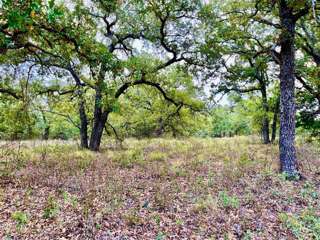 Poolville, TX 76487,Lot 29 Galway Rd