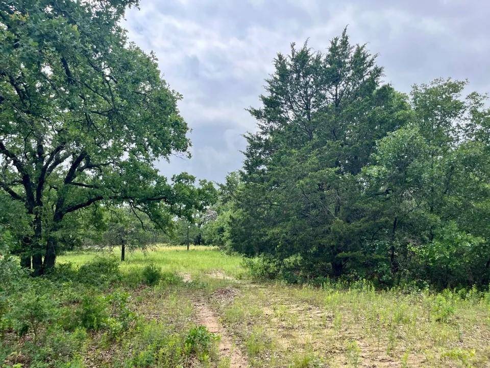 Poolville, TX 76487,Lot 29 Galway Rd