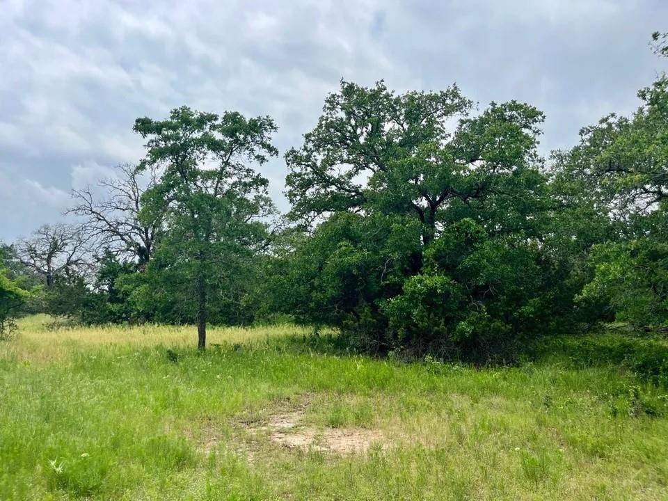 Poolville, TX 76487,Lot 29 Galway Rd