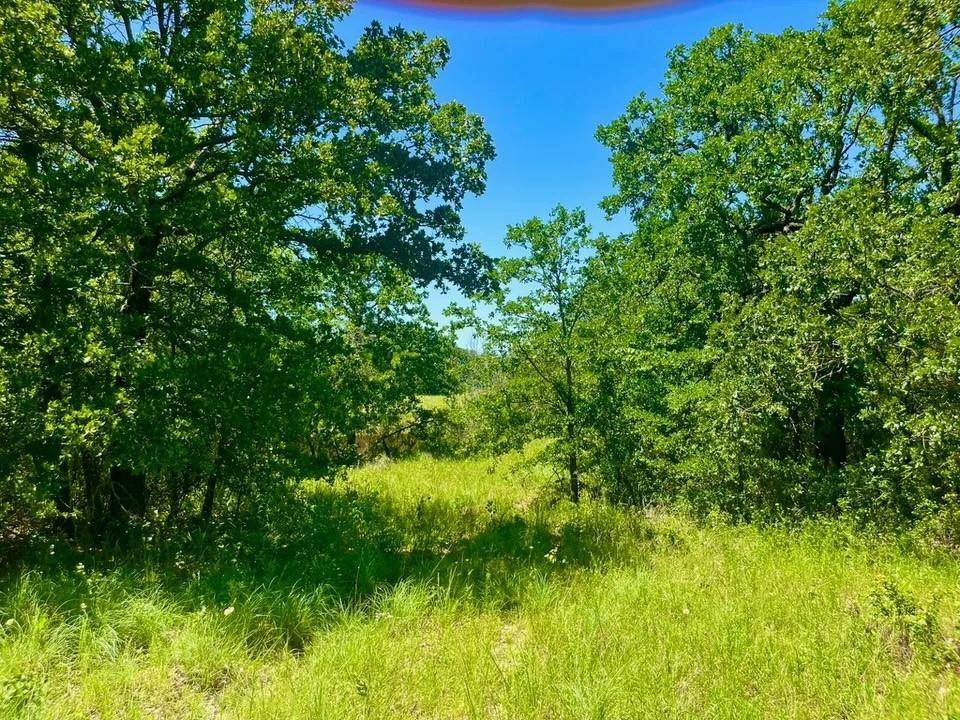 Poolville, TX 76487,Lot 34 Galway Rd